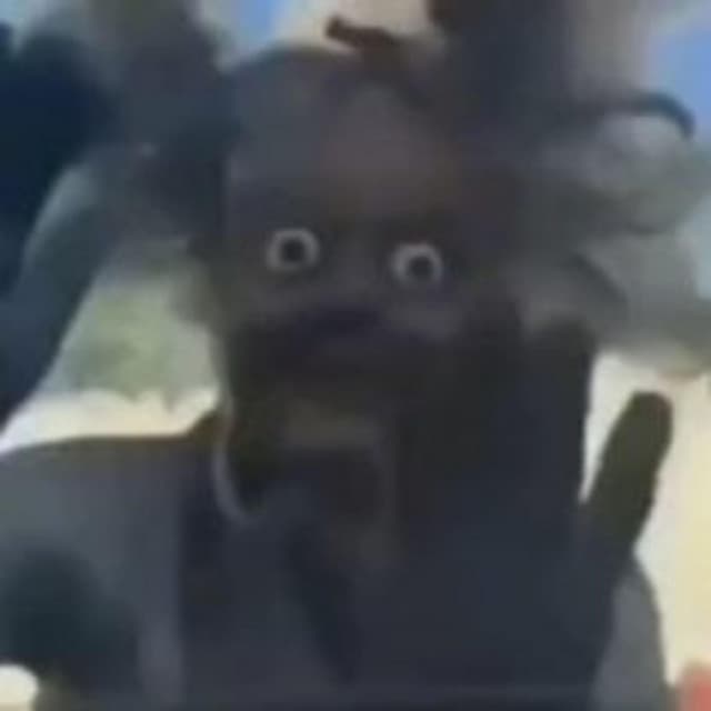 staplegun - |BONKERS|